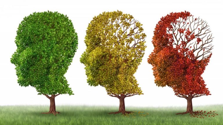 Cinco señales clave para detectar el Alzheimer en sus primeras etapas